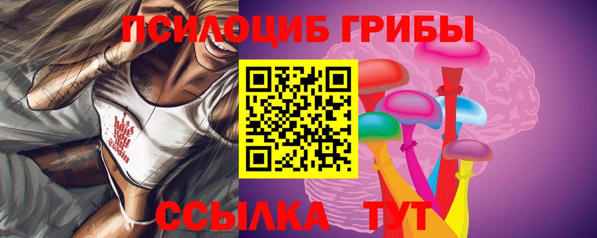 Псилоцибиновые грибы GOLDEN TEACHER  Галлюциногенные грибы Psilocybine cubensis  Вход с VPN  Каменка 